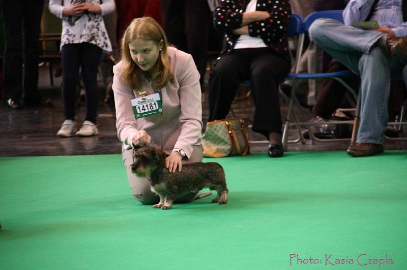 Crufts2011_2 583.jpg